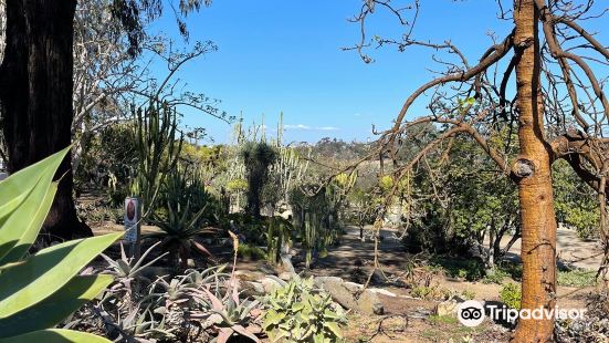 Desert Garden