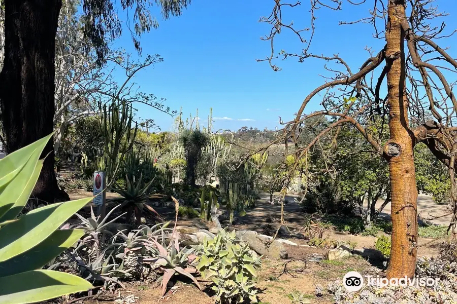 Desert Garden