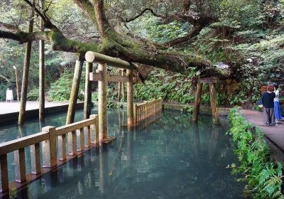 Kashima Jingu Shrine