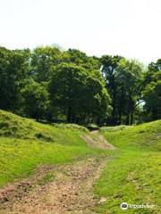 Badbury Rings