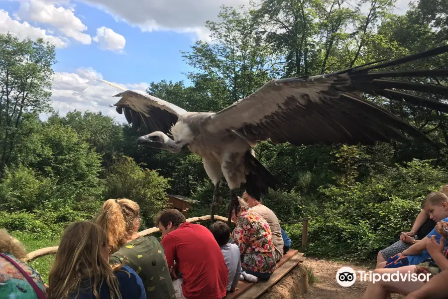 Greifvogelpark