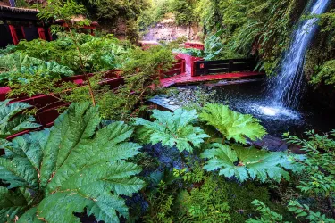 Panguipulli