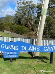 Gunns Plains Caves