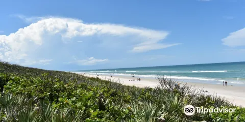 Canaveral National Seashore