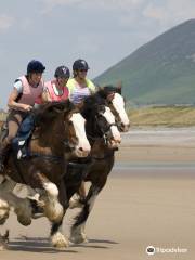 Cumbrian Heavy Horses