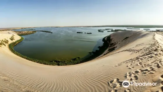 The Yellow Lake