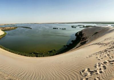 The Yellow Lake