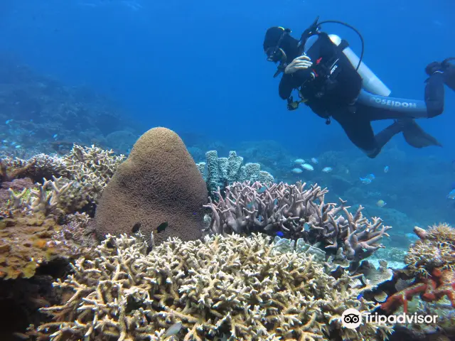 Scuba Diving in El Nido