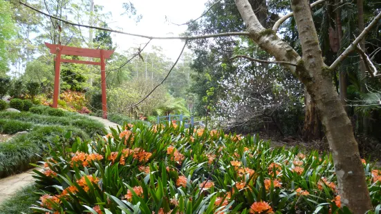 Tamborine Mountain Botanic Gardens