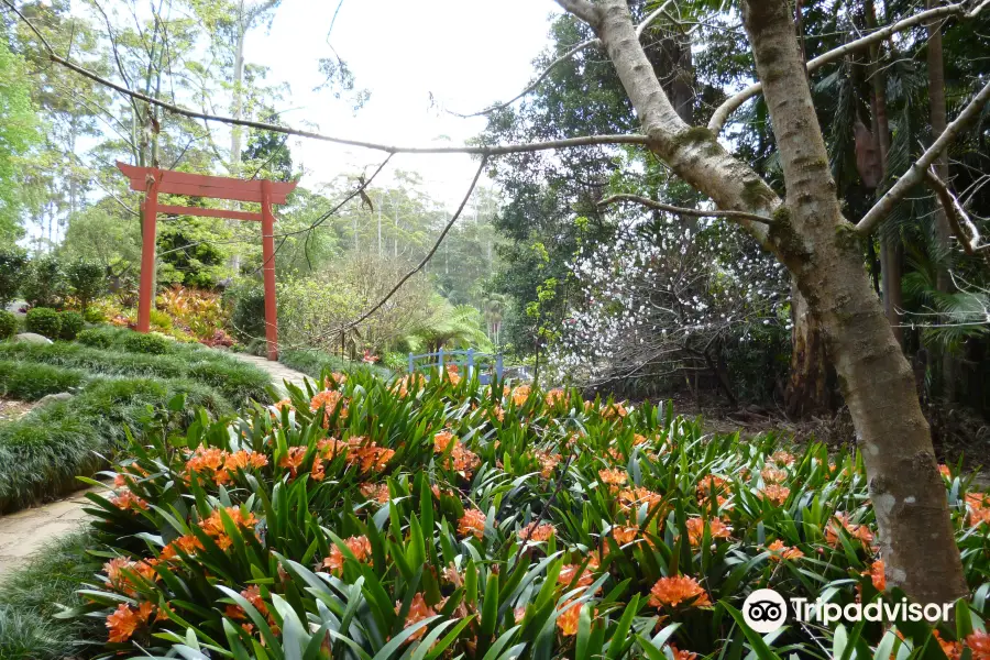 Tamborine Mountain Botanic Gardens