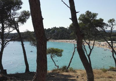 Platja de Castell