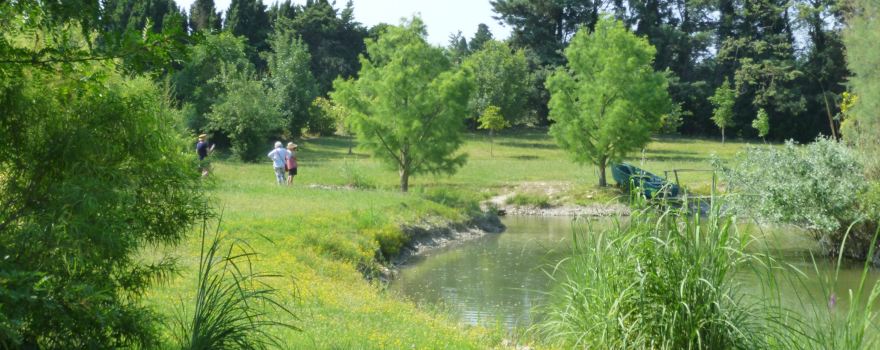 Jardin Aquatique Aux Fleurs de l'Eau