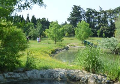 Jardin Aquatique Aux Fleurs de l'Eau