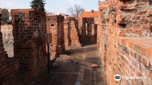 Teutonic Castle ruins