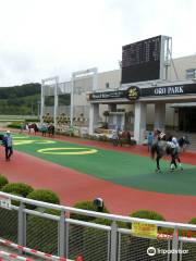 盛岡競馬場