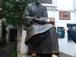 guided tour of cordoba