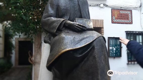 guided tour of cordoba