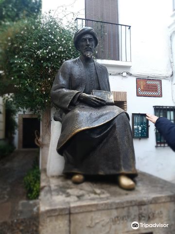 guided tour of cordoba