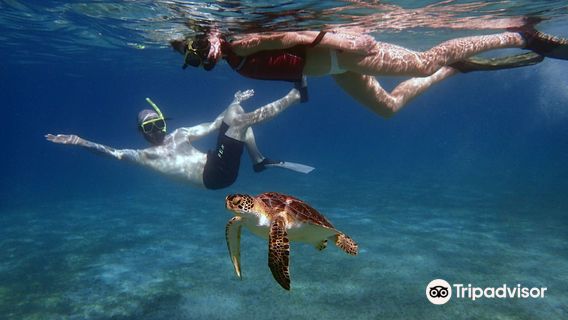 Culebra Island Adventures