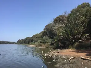 Lac Sidi Boughaba Parc National