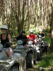 Wairere Valley Quad Bike Safaris