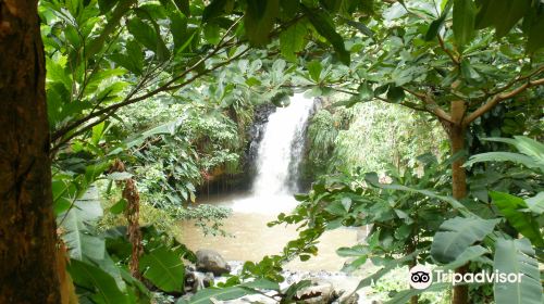 Annandale Waterfall & Forest Park