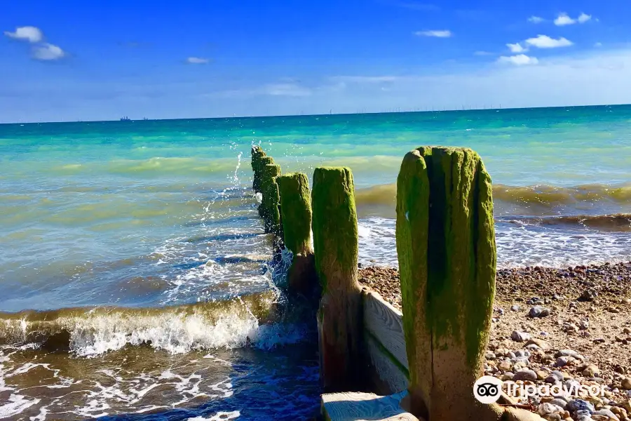 Worthing Beach