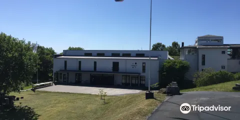 Harald Bodogaard -Art & culture