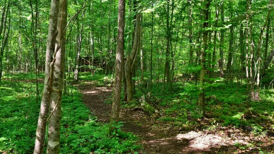 Mayo River State Park