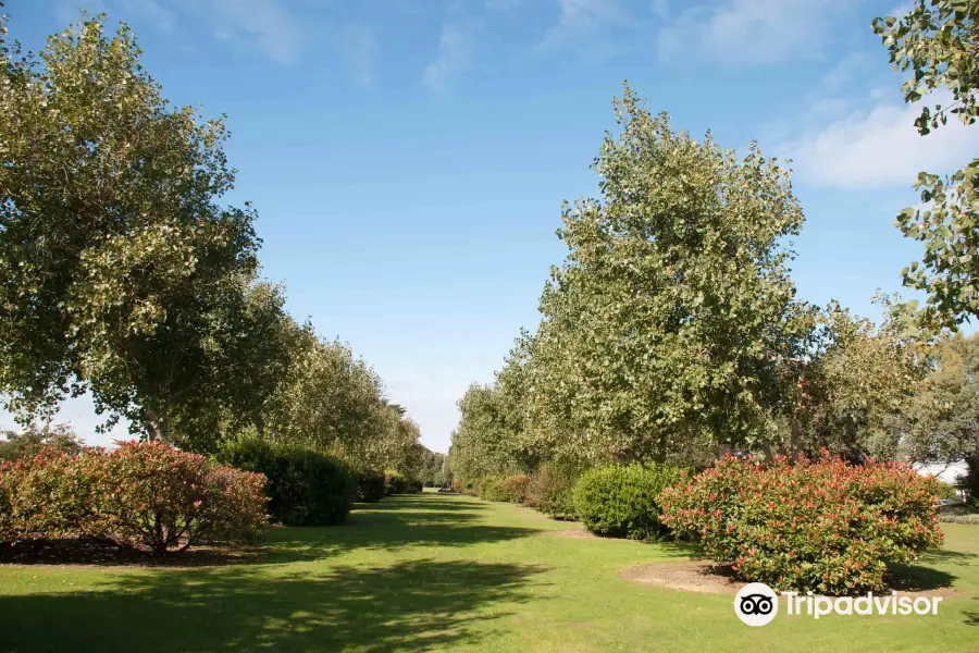 Otakaro Park