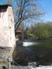 Oasi Cervara - Nature Sanctuary