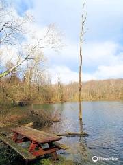 Lake Grubb Nature Park