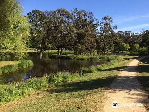 Quarry Street Reserve Lake