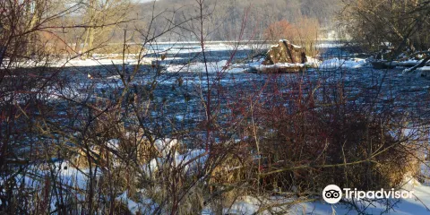 1000 Islands Environmental Center