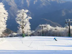 瑞穗高原滑雪場