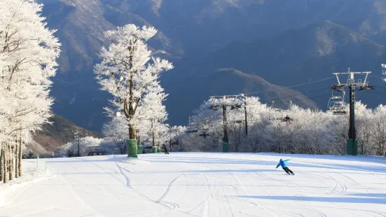瑞穗高原滑雪場