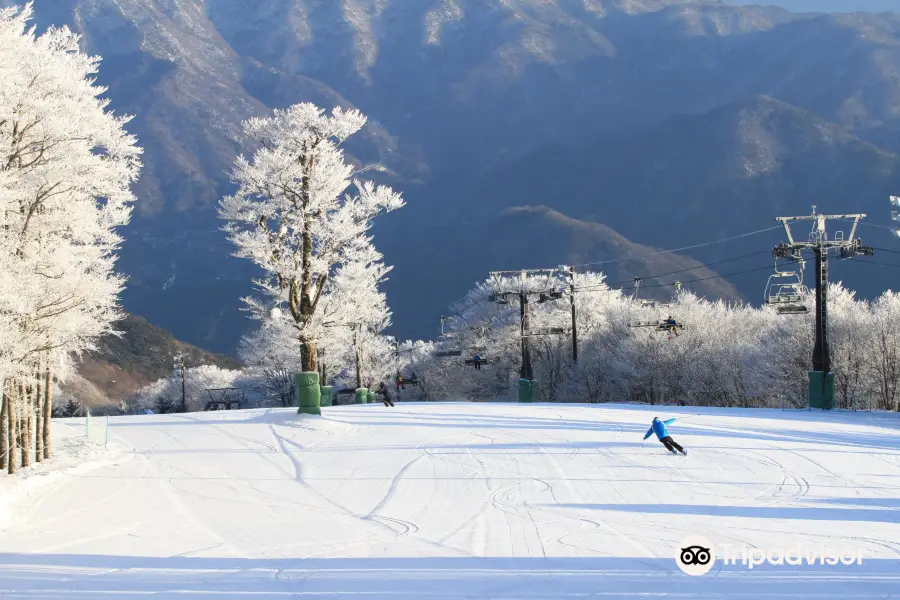 瑞穗高原滑雪場