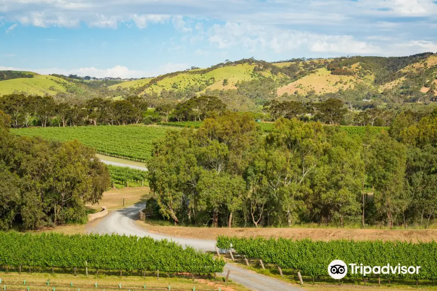 Shottesbrooke Winery