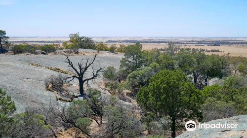 Terrick Terrick National Park