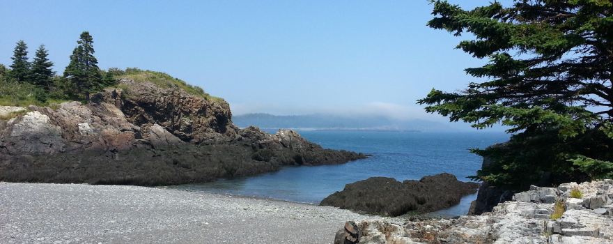 Bog Brook Cove Preserve
