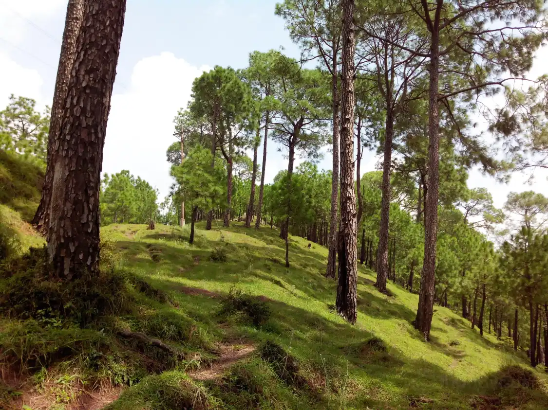 Hotels near Khetarpal Marg