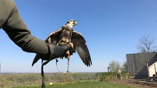 Adlerwarte Obernberg