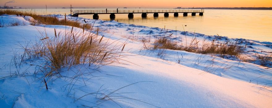 Viken