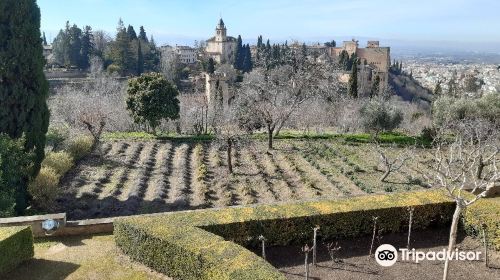 Generalife