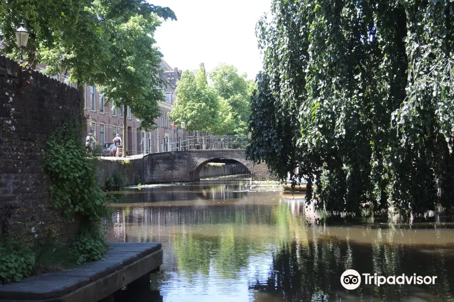 Waterlijn Rondvaarten