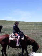Hurley Butte Horseback Riding