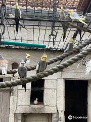 La Ferme aux Oiseaux Exotiques