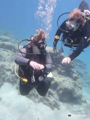 Poseidon Dive Centre, Protaras, Cyprus