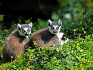 Zoo des Sables d'Olonne