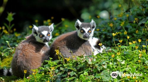 Zoo des Sables d'Olonne